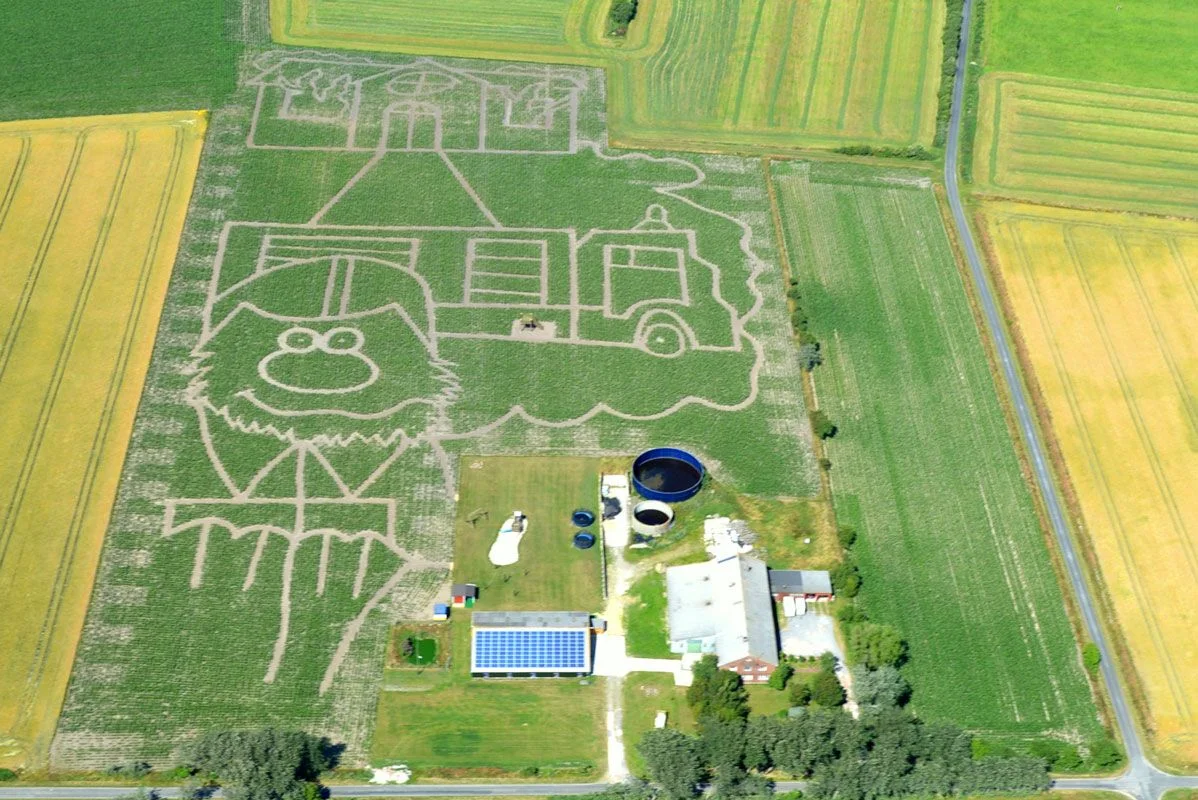 Föhrer Maislabyrinth